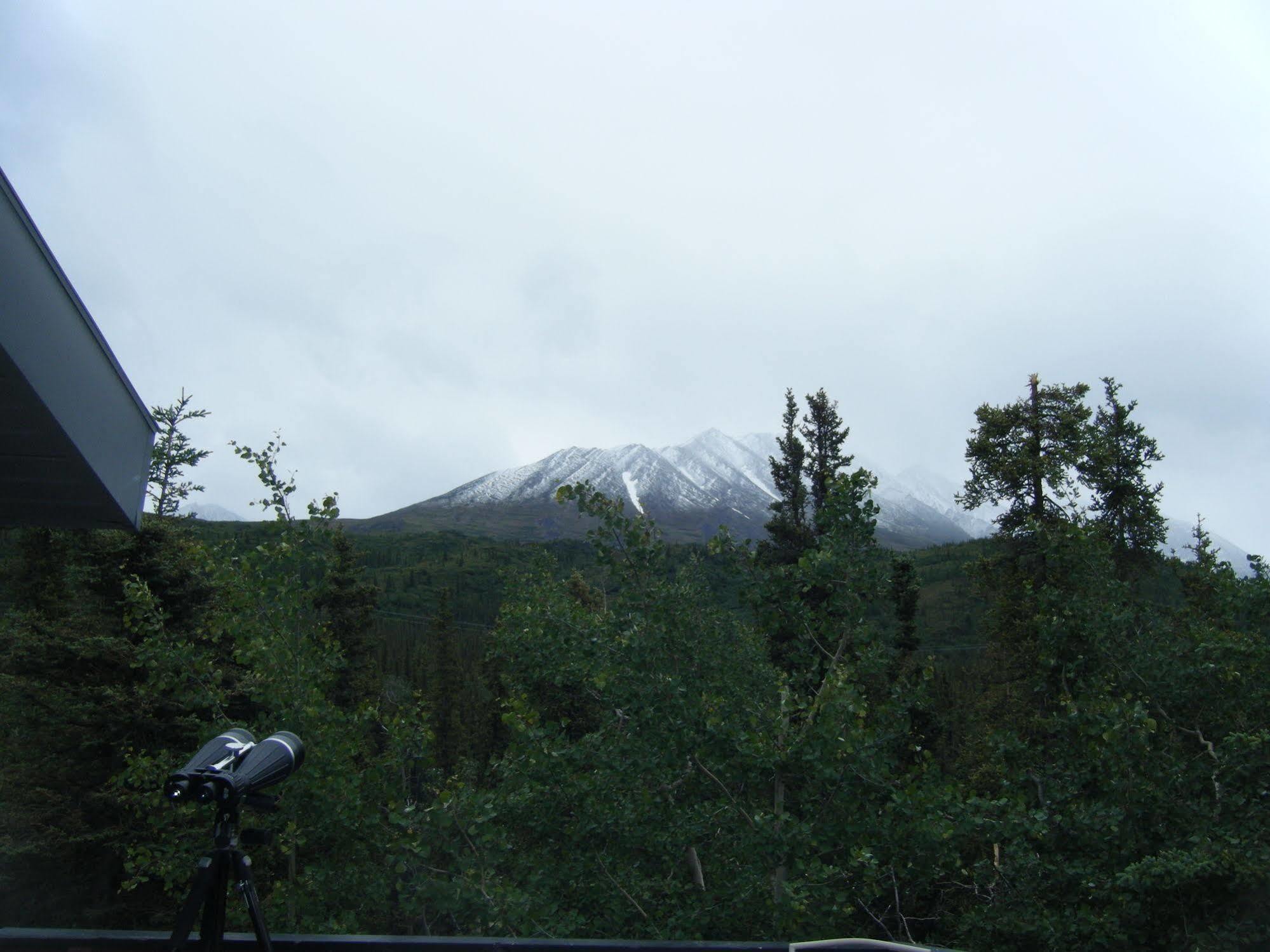 The Perch Resort Denali Park Eksteriør bilde